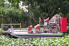 Orlando (Port Canaveral) Airboat Tour cruise excursion